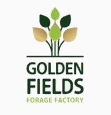 Golden-Fields-ISO-50001